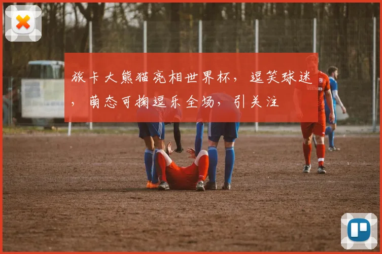 旅卡大熊猫亮相世界杯，逗笑球迷，萌态可掬逗乐全场，引关注